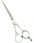 Special Barber Shears