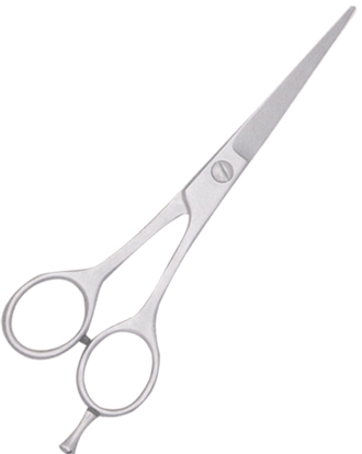 Professional Barber Scissors