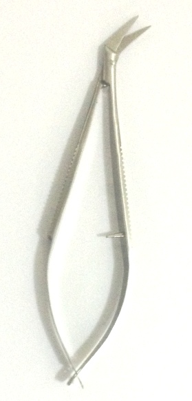 Squeezer Angular