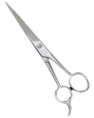 Practice Shears