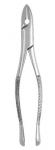 Extracting Forceps