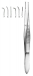 Dissecting Forceps, Straight & Curved