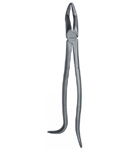 Tooth Forceps