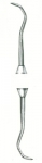 Jacquette2y-3y Scalers
